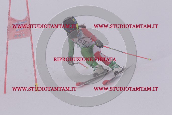 MAT_6764.JPG