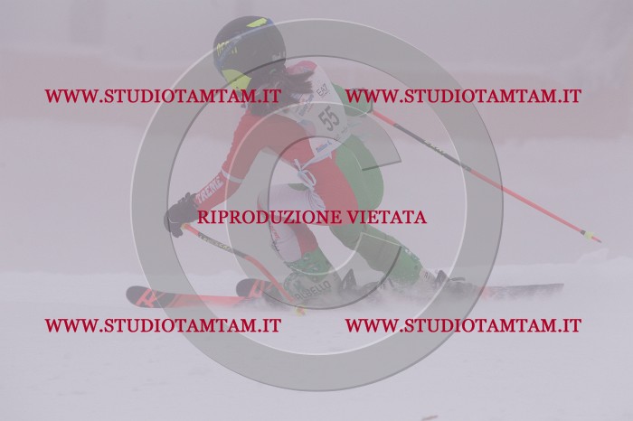 MAT_6766.JPG