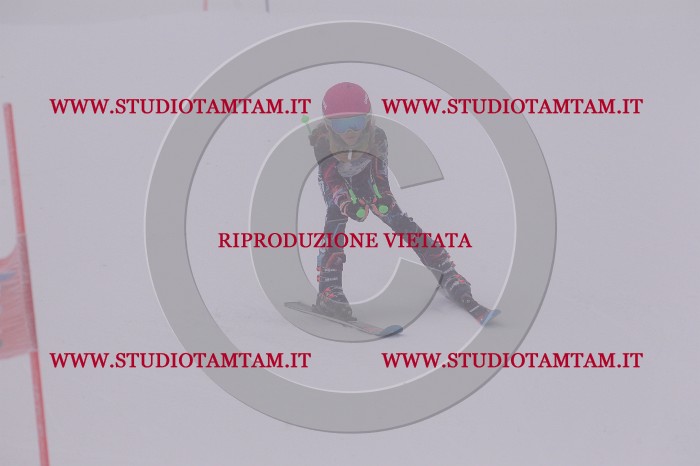 MAT_6770.JPG
