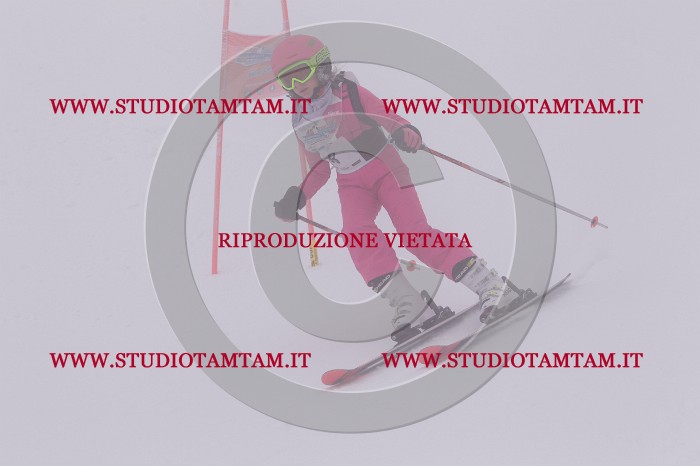 MAT_6786.JPG