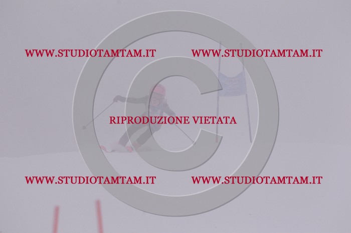 MAT_6790.JPG