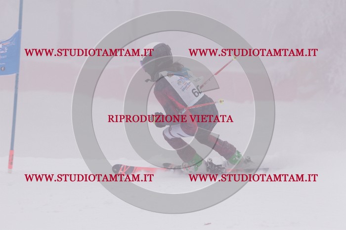 MAT_6804.JPG