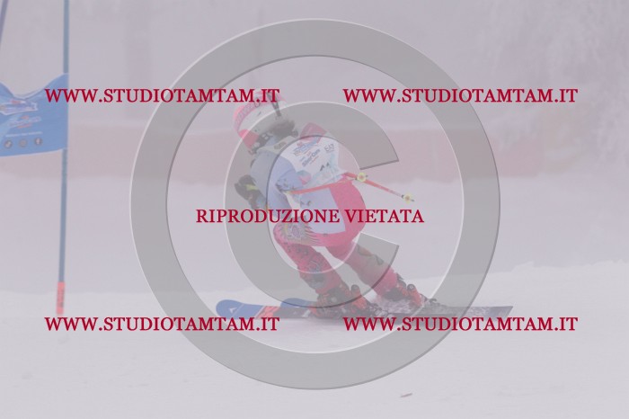 MAT_6811.JPG