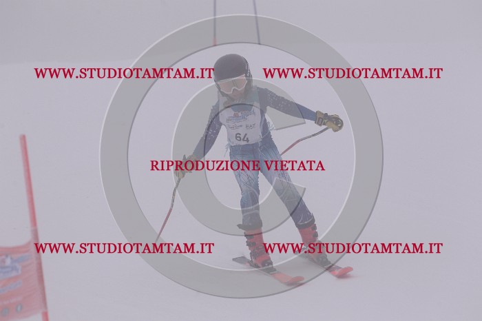 MAT_6827.JPG