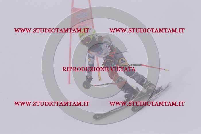 MAT_6872.JPG