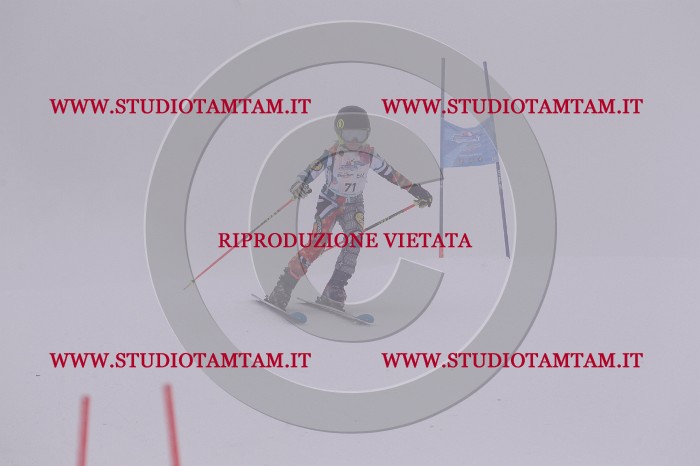 MAT_6881.JPG