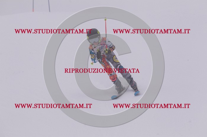 MAT_6882.JPG