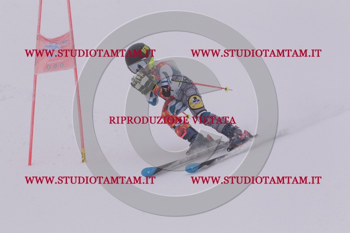 MAT_6884.JPG