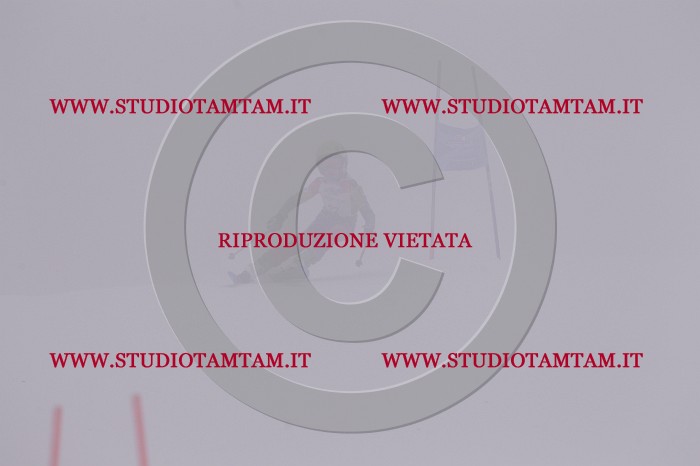MAT_6888.JPG
