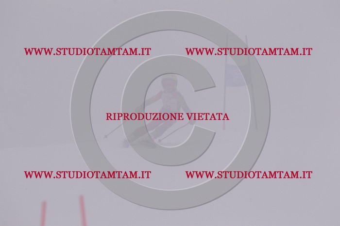 MAT_6889.JPG