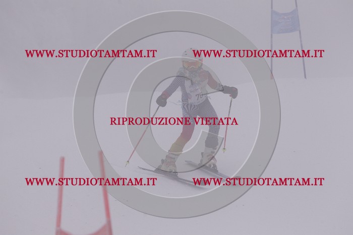 MAT_6929.JPG