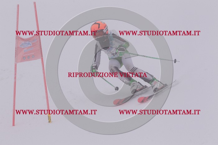 MAT_6938.JPG