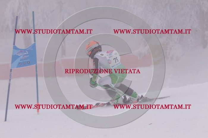MAT_6940.JPG