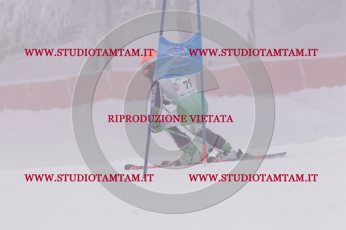 MAT_6941.JPG