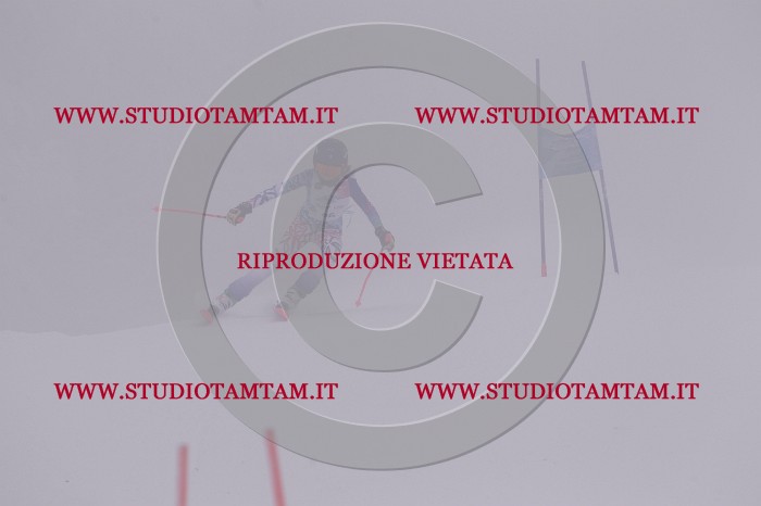 MAT_6978.JPG