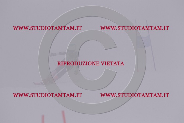 MAT_6986.JPG