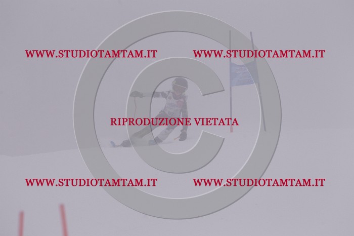 MAT_7010.JPG