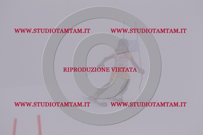 MAT_7019.JPG