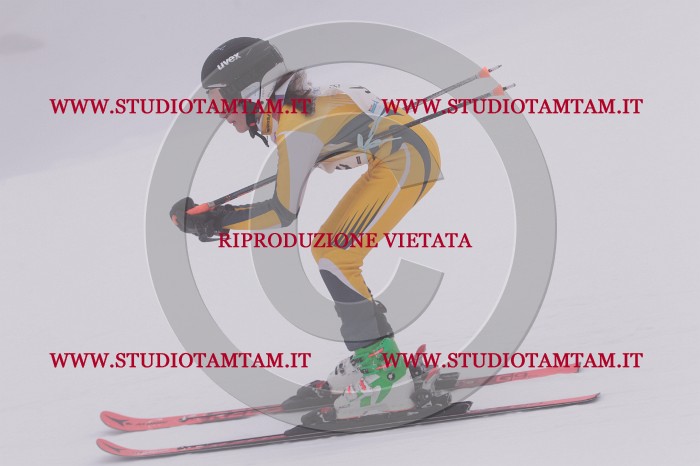 MAT_7022.JPG