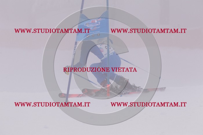 MAT_7035.JPG