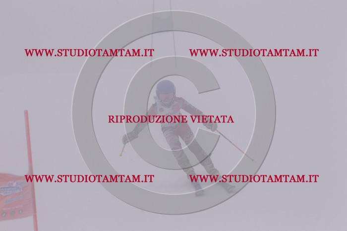 MAT_7046.JPG