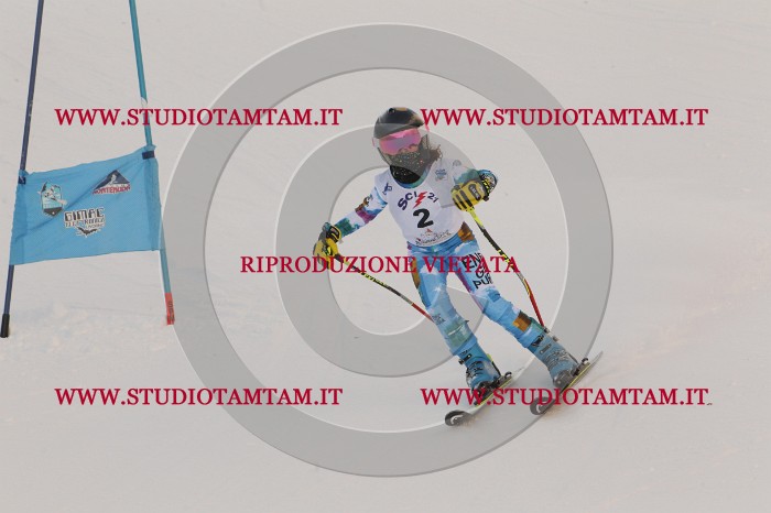 MAT_7540.JPG