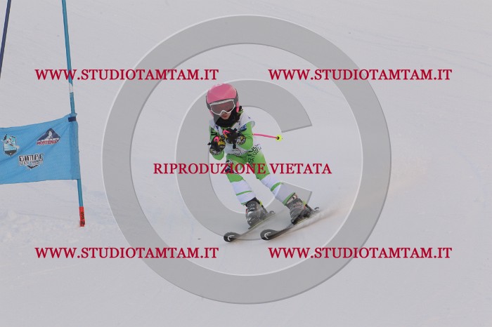 MAT_7585.JPG