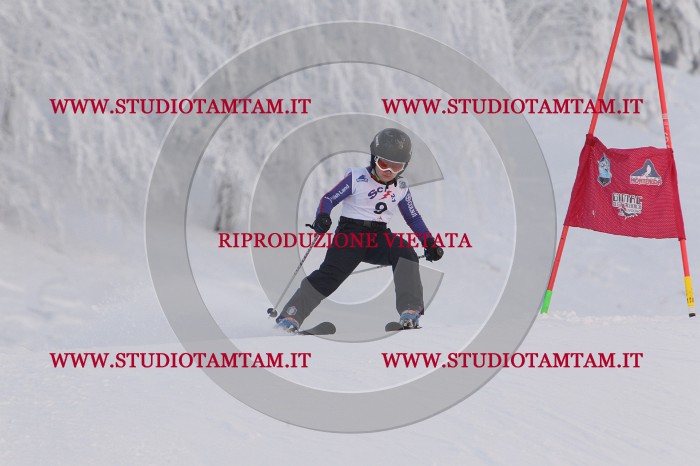 MAT_7599.JPG