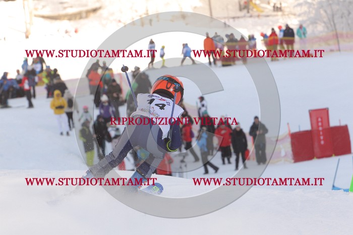 MAT_7640.JPG