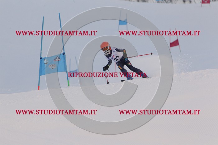 MAT_7690.JPG