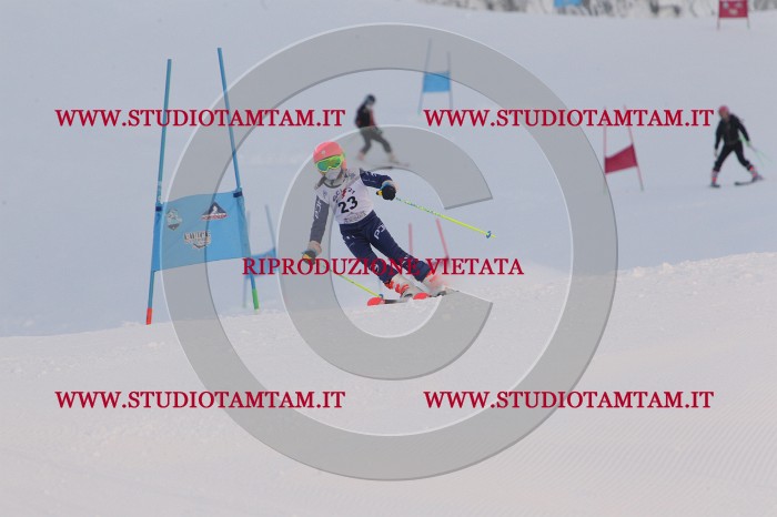 MAT_7706.JPG
