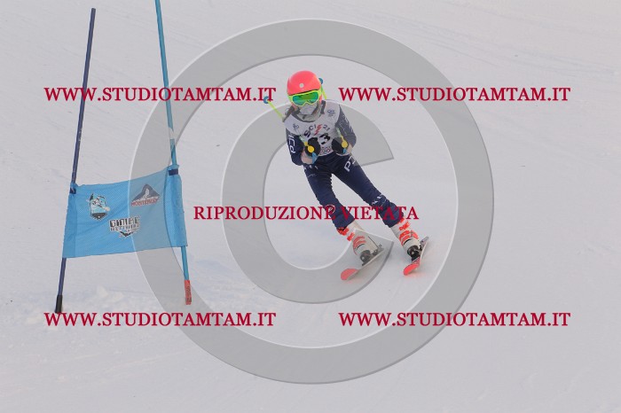MAT_7710.JPG