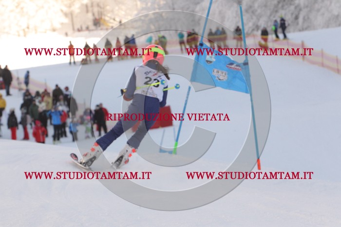 MAT_7714.JPG