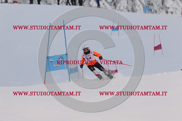 MAT_7715.JPG