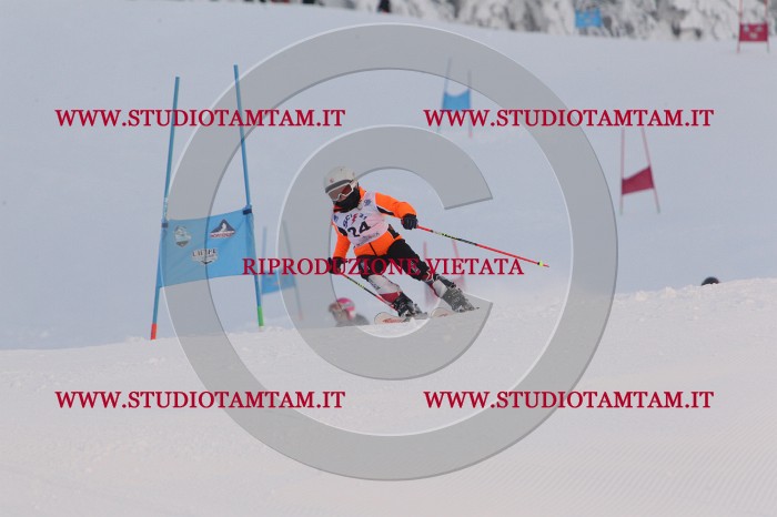 MAT_7716.JPG