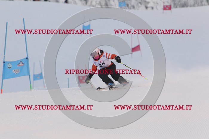 MAT_7725.JPG