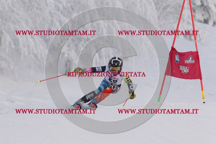 MAT_7737.JPG