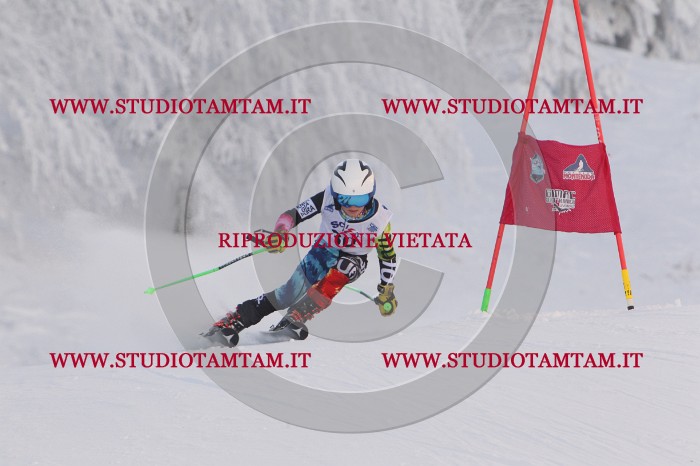 MAT_7772.JPG