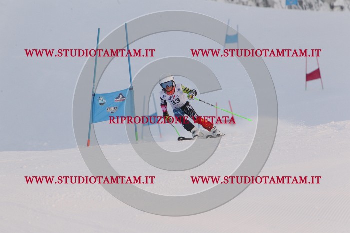 MAT_7796.JPG
