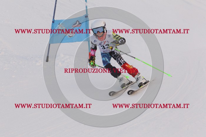 MAT_7801.JPG