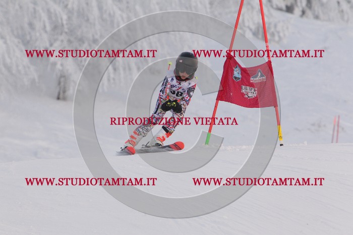 MAT_7838.JPG
