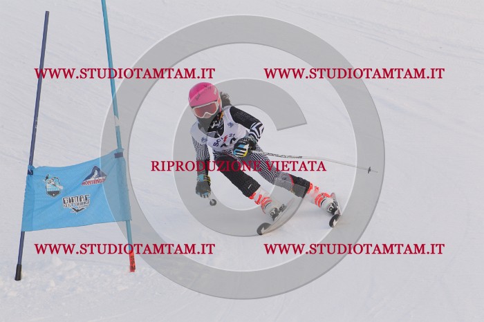 MAT_7881.JPG