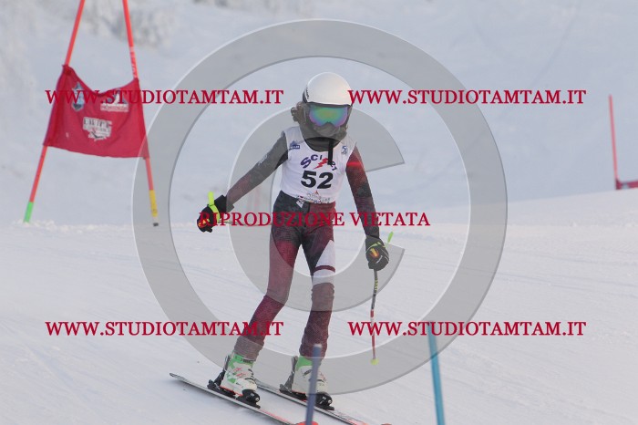 MAT_7937.JPG