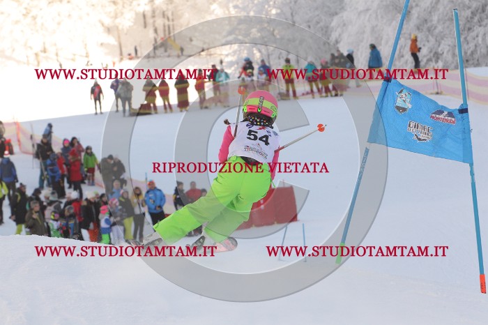 MAT_7952.JPG