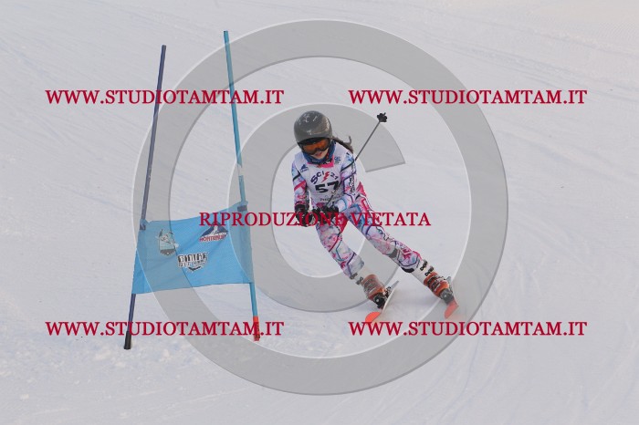 MAT_7975.JPG