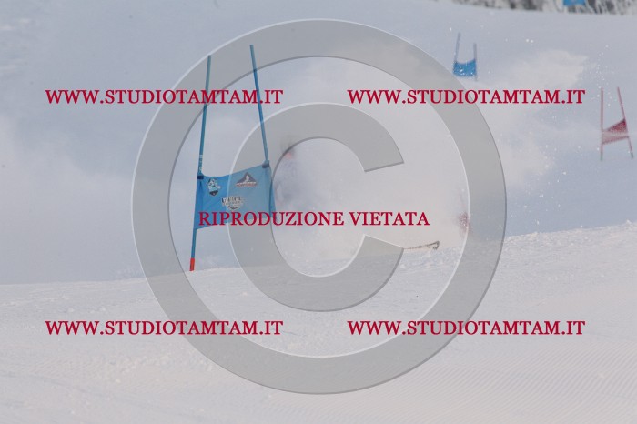 MAT_7989.JPG