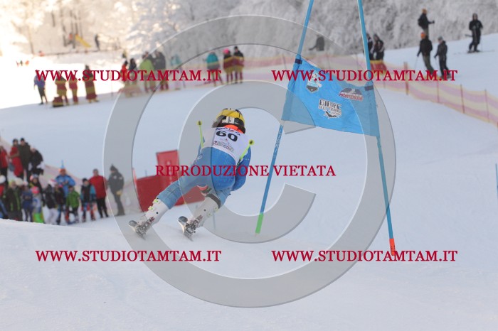MAT_7997.JPG