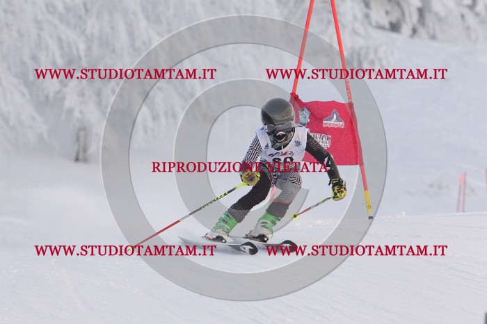 MAT_8076.JPG