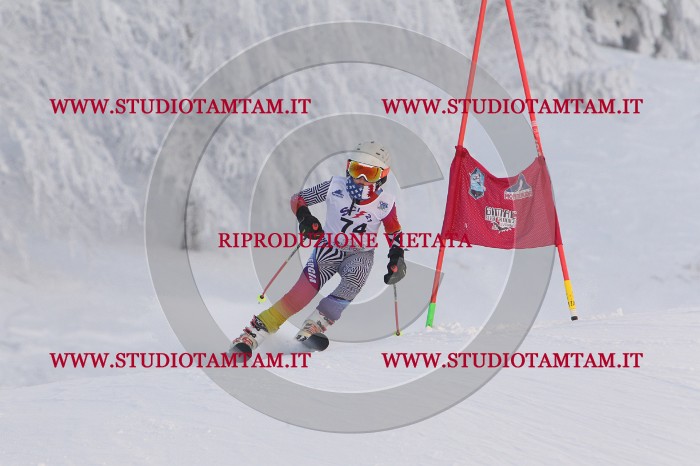 MAT_8119.JPG