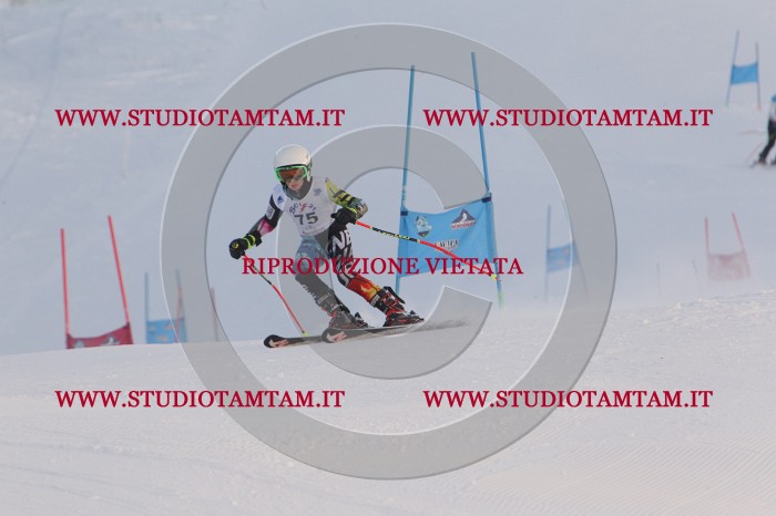 MAT_8127.JPG